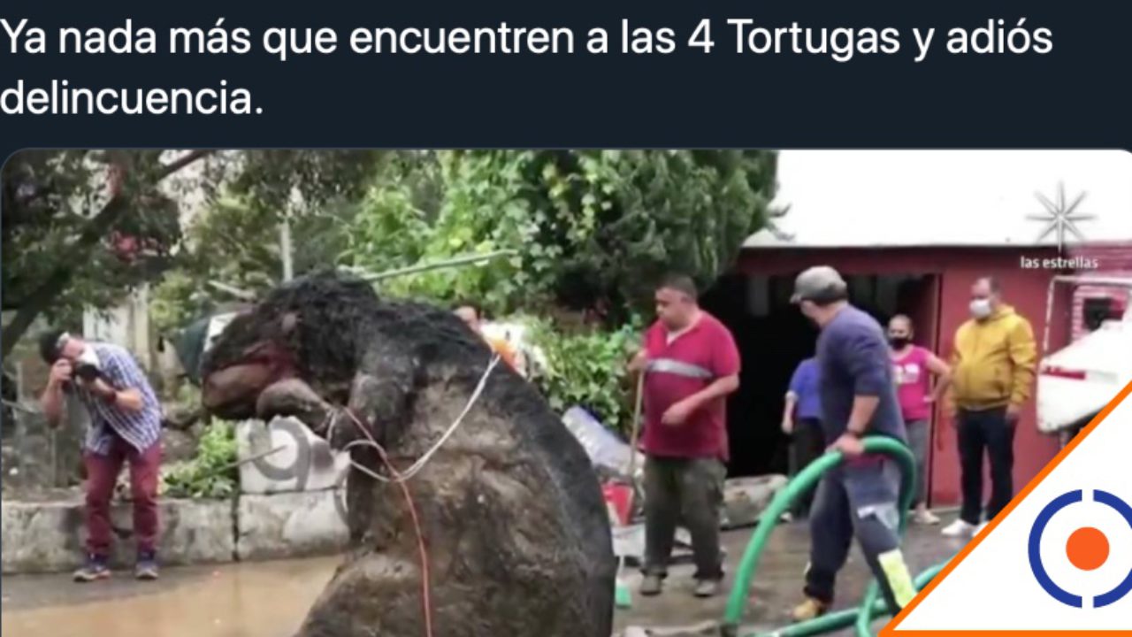 La historia detrás de la rata gigante de la CDMX que provocó una oleada de  memes