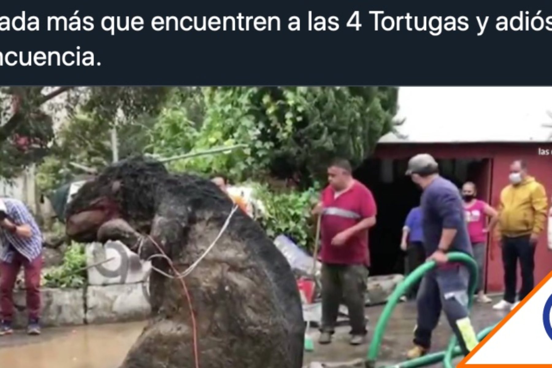 Viral Los Mejores Memes De La Rata Gigante En La Cdmx Cer