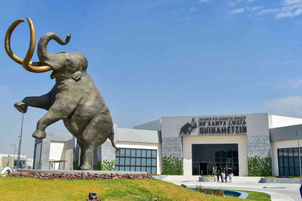 Hay Más Visitantes Al Museo Del Mamut Que Viajeros En El AIFA